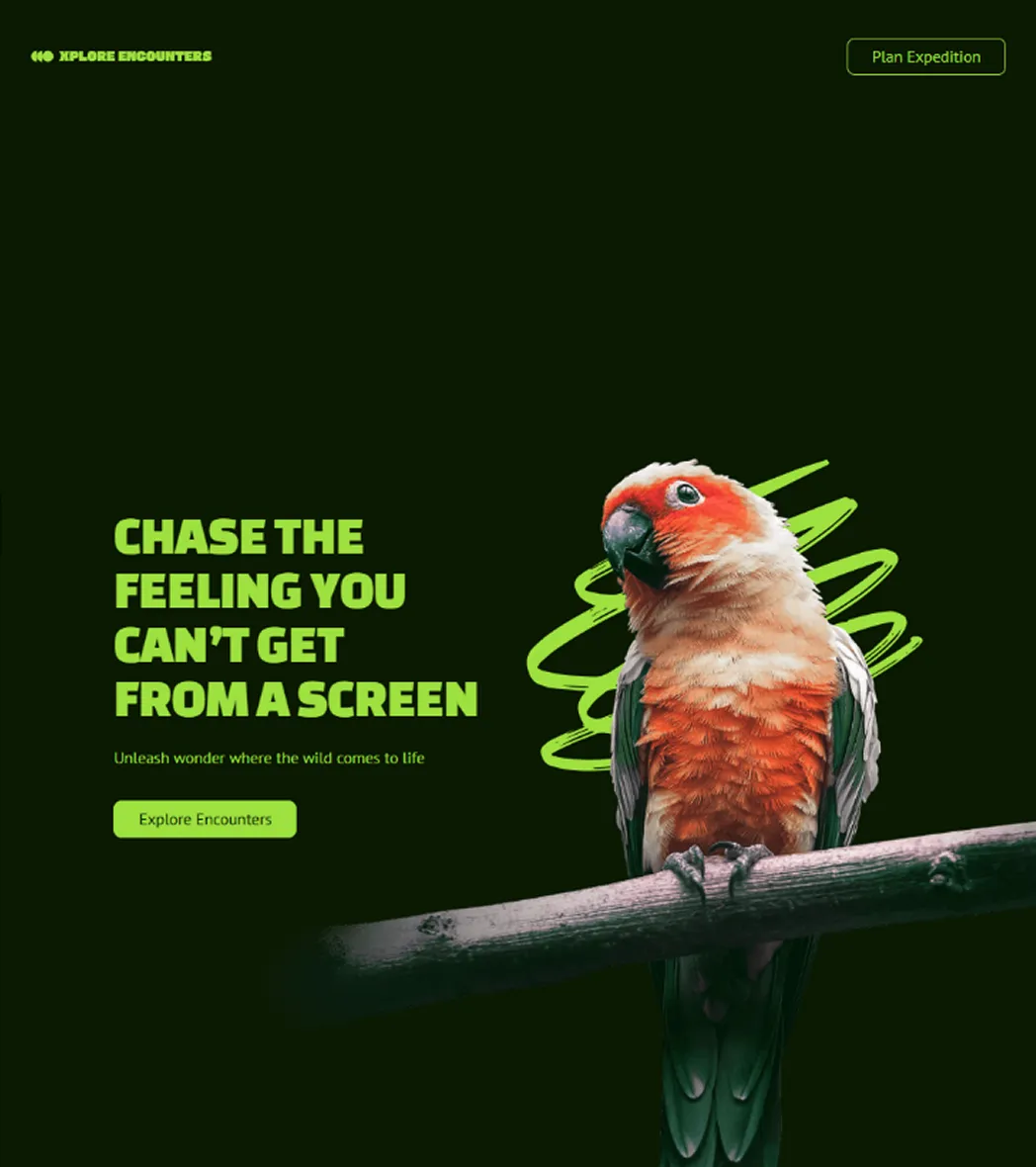 Xplore Encounters adventure travel website with a parrot on a branch